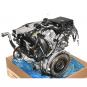 Motore benzina 274920  - Immagine 2