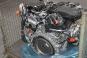 Motore benzina 276823  - Immagine 2