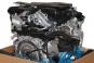 Motore benzina 276824  - Immagine 2