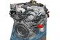 Motore benzina 279981  - Immagine 2