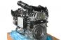 Motore diesel 654920  - Immagine 2