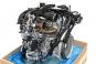 Motore benzina 270910  - Immagine 3